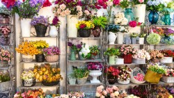 Cửa Hàng Bánh Sinh Nhật ở Huyện Thoại Sơn An Giang